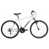 Kenzel Avox SF 2020