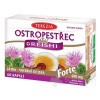 TEREZIA PESTREC + REISHI Forte cps 1x60 ks