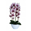 Orchid Rubber Double darček výročie svadby (Orchid Rubber Double darček výročie svadby)