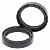Tesniace prvky zavesenia Monster S2R 1000 06-08