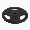 Liatinový kotúč TREXO TRX-ICP025 25 kg chróm
