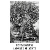 Andante spianato