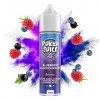 Pukka Juice Shake & Vape Blueberry Blackcurrant 10 ml
