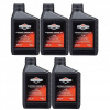Olej do kosačky - Briggs Stratton 4T SAE30 Mower Oil 5 x 0,6 l (Briggs Stratton 4T SAE30 Mower Oil 5 x 0,6 l)