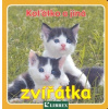 Koťátko a jiná zvířátka