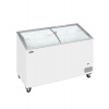 TEFCOLD IC 401 SCEB