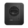 Genelec 7040APM