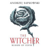 Blood of Elves - Andrzej Sapkowski