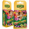 Forestina Plantacote 6M 10x7g