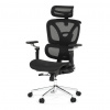 Autronic Kancelářská židle, synchronní mechanismus, černá síťovina, KA-B2361 BK