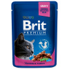 Kapsička Brit Premium Cat Pouches kura a morka 100g