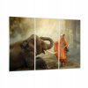 Obrázok na sklenenom slone mnícha GCE165X110-3484 (Obrázok na skle 165x110 Mnich Elephant Príroda)