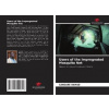 Users of the Impregnated Mosquito Net - Sangare Hamad