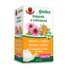 Herbex Rakytník a Echinacea 20 x 3 g 20x3 g nálevových vrecúšok