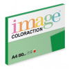 Dublin Coloraction A4 80 g/m2 100 listů