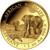 Bayerische Hauptmünzamt zlatá minca minca African Wildlife Elephant 2026 1 Oz