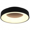 LED stropné svietidlo TRIO Girona, 40 cm (TR 671210132) čierne