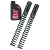 BITUB FORK SPRINGS KIT PROGRESSIVE MY10