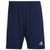 Adidas Teamsport Entrada 22