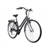 Mestsky bicykel - Bottecchia trk 200 28 palcov mestský bicykel (Bottecchia trk 200 28 palcov mestský bicykel)