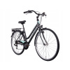 Mestsky bicykel - BOTTECCHIA TRK 200 28 palcový dámsky mestský bicykel (BOTTECCHIA TRK 200 28 palcový dámsky mestský bicykel)