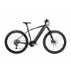 Pells Thorr 2 2024