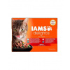 IAMS Cat Delights Adult All Breeds Ocean Fish In Jelly Pouch 12 X 85 g