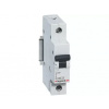 ISTIČ RX3 1P B40 6000A 419140 LE