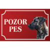 Kanárska doga - Kovová tabuľka POZOR PES