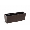 Nohel Garden Truhlica BEGONIA PROUTI plast 56x19x19cm