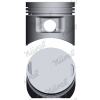 Piest NÜRAL (FEDERAL-MOGUL) 87-179500-10