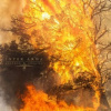Inter Arma - Sulphur English [CD]