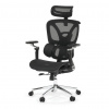 Autronic Kancelářská židle, synchronní mechanismus, černá síťovina, KA-B2363 BK