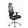 Spinergo Business - ergonomická stolička Farba: Čierna, Typ sedáku: Sieťový