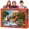 Puzzle KONE 1000 CASTORLAND Kôň pre DIEVČATKO