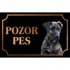 Kanárska doga - Kovová tabuľka POZOR PES