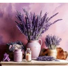 Provence vázanka 2026 - nástěnný kalendář - autor neuvedený