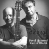 Pavol Hammel: déja vu live Hammel Pavol, RADIM HLADEK CD