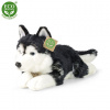 Eco-Friendly Rappa pes husky 36 cm