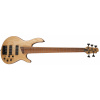 Cort B5 Element OPN