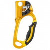 Petzl ASCENSION righ
