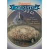 Putování labyrintem světa - Vaněček Michal