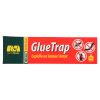 GlueTrap lepidlo na lezúci hmyz 135g