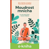 E-kniha Moudrost mnicha - Björn Natthiko Lindeblad, Caroline Blankner, Navid Modiri