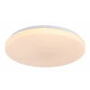 Rabalux DANNY2 LED stropné svietidlo 71442