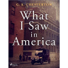 What I Saw in America