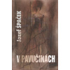 V pavučinách - Špaček Jozef