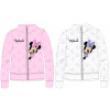 Minnie - licencia Dievčenská mikina - Minnie Mouse 5218B201, svetlo šedý melír Farba: Sivá, Veľkosť: 98-104