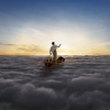Pink Floyd - Endless river 2LP