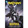Batman 7: Slepota - Williamson Joshua